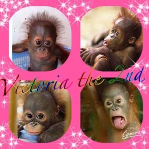 Meet your Posher, Evette